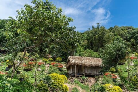 Nationalpark Doi Inthanon - Chiang Mai