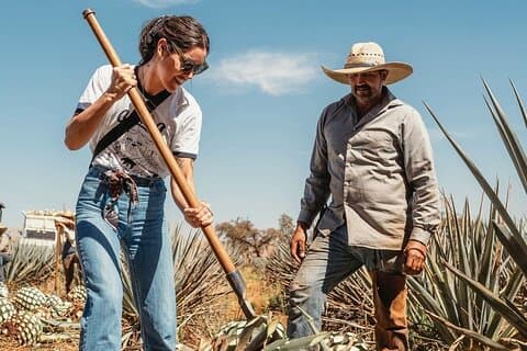 Tour Privado a Destilería Tequila Ocho y Arandas