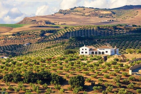 Heldags privat Jerez & Cadiz Wine Tour Experience från Sevilla