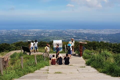 Excursão de um dia pela UNESCO para grupos pequenos Premium em Jeju - Curso Sul