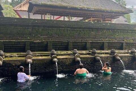 Visita guiada cultural e histórica a Ubud com traslado