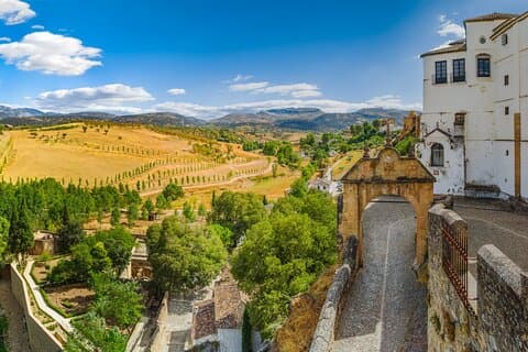 Esperienza di tour privato del vino Ronda di un'intera giornata da Marbella