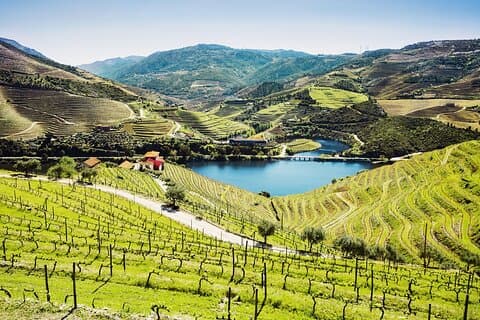 Heldags privat Douro Valley Wine Tour Experience från Porto