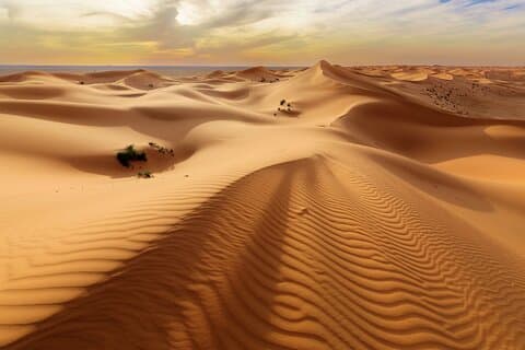 Privétour Woestijnsafari in Al Thumama vanuit Riyadh