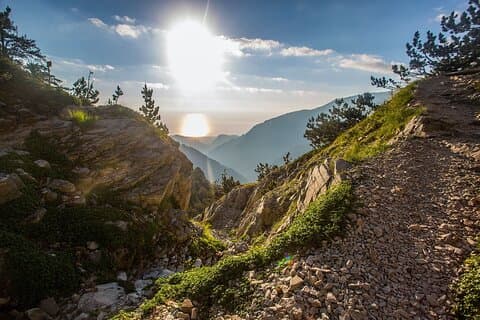 Half-day Hiking Adventure in the Mount Olympus National Park