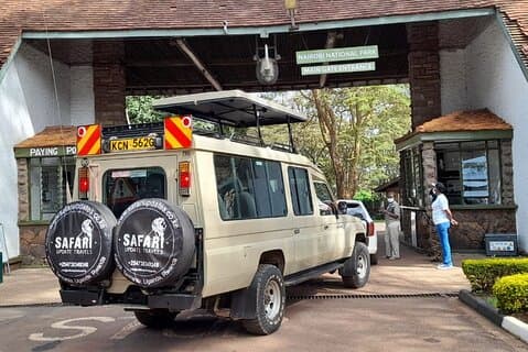 Halvdag National Wildlife Safari Privat rundtur i Nairobi