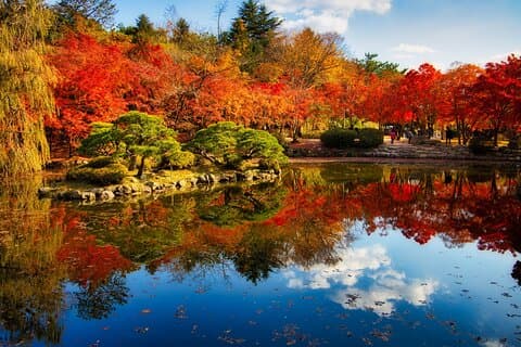 Privat tur Gyeongju højdepunkter hel dag fra Busan