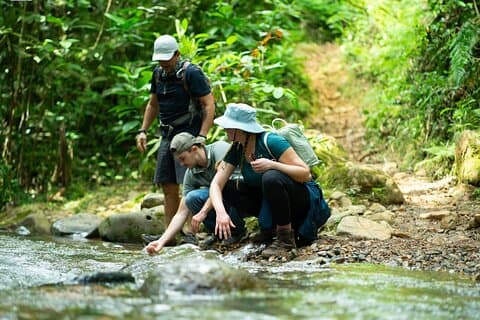 Pance Waterfalls: Hike to discover the biodiversity of the valley