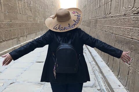 Transfer to Luxor from Aswan with 2stops in Komombo& EdfuTemples