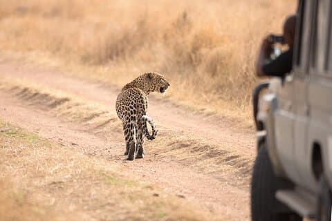 5-dagars privat campingtur till Serengeti, Ngorongoro och Tarangire