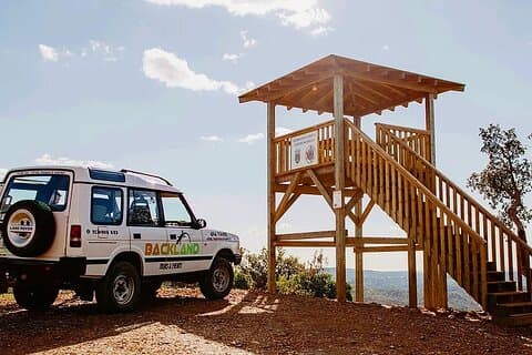 Eventyr mellem venner - Privat safari, fra 1 til 6 PAX