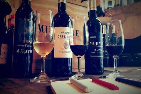 Privata vinland och Stellenbosch-Franschhoek vinprovningstur