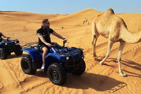 Super Safari VTT, Buggy Car, Balade à dos de chameau avec dîner bédouin