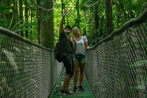 Limón Rainforest Hanging Bridges-Skywalk Tour & Tortuguero-kanaler