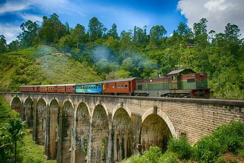 Voyage de 2 jours Nuwara Eliya, Ambewela, Ella, Udwalawa et Yala