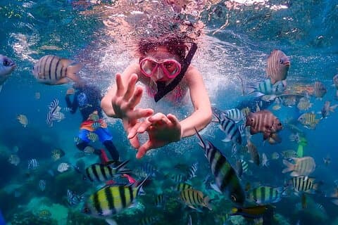 Excursion d'une journée complète sur l'île Nemo en hors-bord avec expérience de plongée en apnée