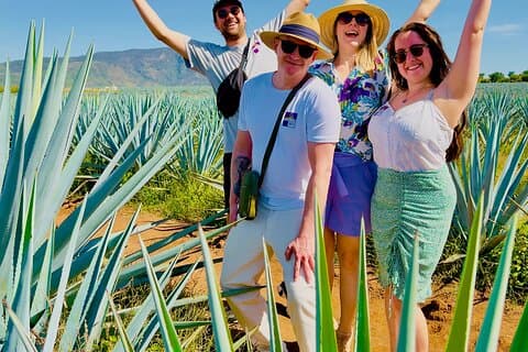 Tequila/Guachimontones Tour-kulturarvsrutt
