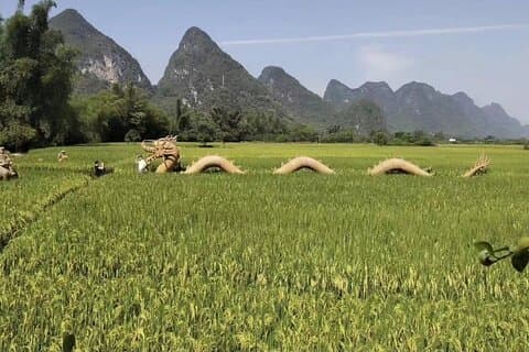 PRI Yangshuo Mt Xianggong and Li River Boat Day Tour from Guilin