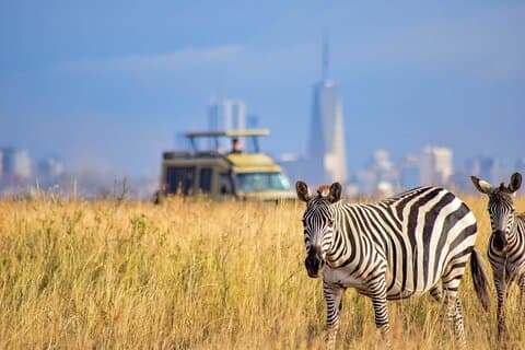 Nairobi 4 Hours National Park Half-Day Game Drive Safari