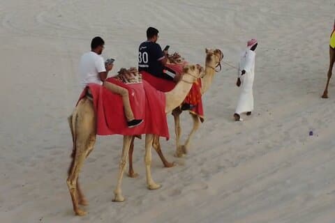 Doha-safari van een halve dag met quad-atv/kameelrit/sandboard