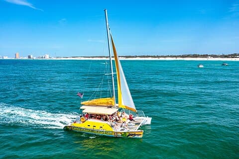 Dolphin Sightseeing Tour on the Footloose Catamaran
