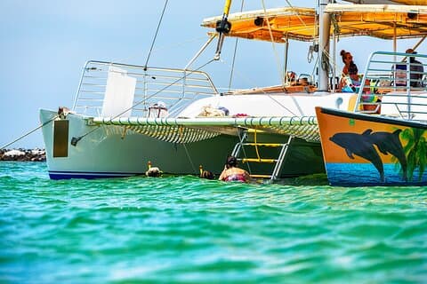 Tour panoramico di snorkeling e delfini a bordo del Footloose
