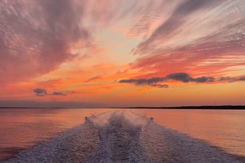 Coastal Excursion/Sunset Cruise/Sand Dollars/Sea Shells/Horses