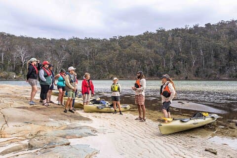 Tour della cultura aborigena di 4 ore in kayak Pambula River