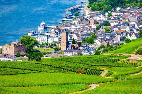 Full Day Private Rhine Valley Wine Tour Experience from Frankfurt