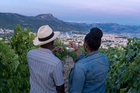 Experiencia en viñedos: cata de vinos cerca de Split