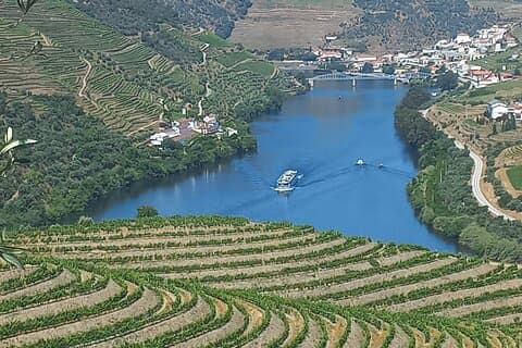 Private Full Day Douro Tour
