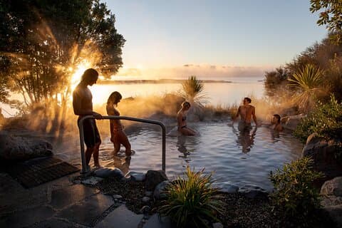 Auckland: Rotorua Te Puia avec Haka & Spa Polynésien Petit Groupe