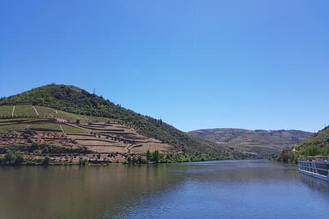 Private Half-Day Douro Tour