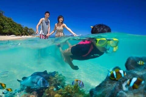 Lihaga Island (white sand island) swimming twice, including lunch and tickets