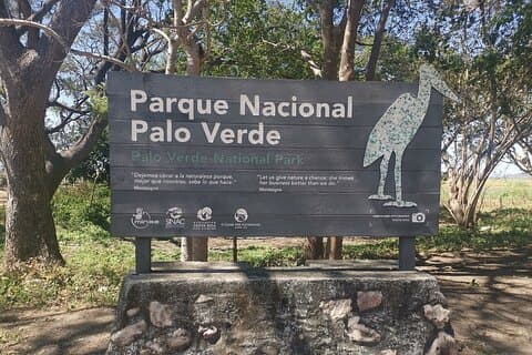 7 timers privat tur i Palo Verde nasjonalpark med henting