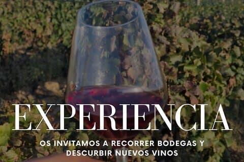 Private Full Day Tour in Alt Empordà with Wine Tasting