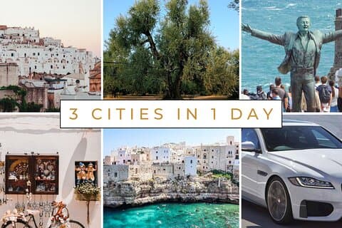 Ostuni, Locorotondo & Polignano: Private Full-day Tour