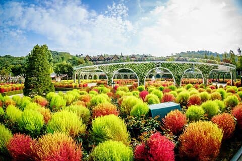 Privat rundtur Everland Theme Park hel dag från Seoul