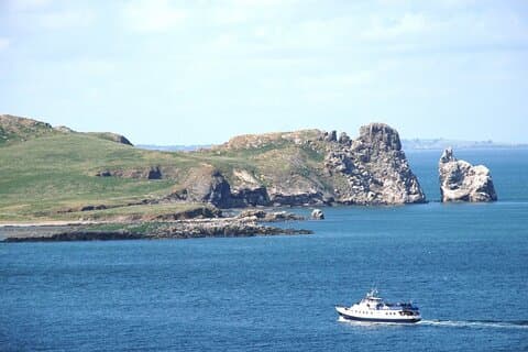 Howth - Howth Cliffs & Ireland's Eye Tour van 1 uur