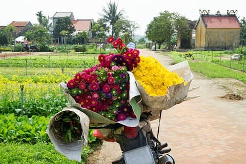 Private Tour Hoi An Countryside Life Experience 3 Villages