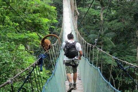 4-dagers Tambopata National Reserve – Tambopata Peru Tours