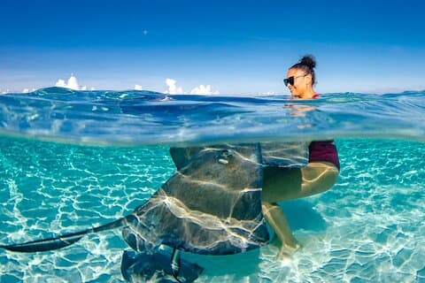 Fretamento de barco particular de 4 horas para Stingray City, mergulho com snorkel e muito mais
