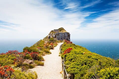 Hotell i nærheten av Cape Point and Boulder's Penguin Private Adventure