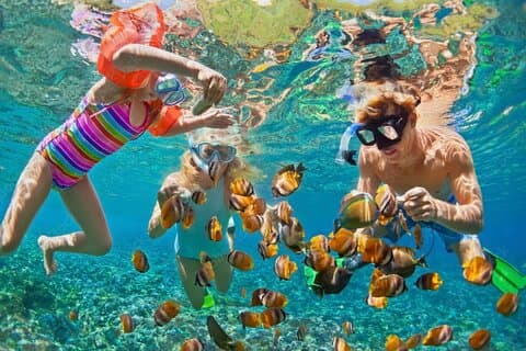 Roatán 3 Stop Snorkel Starfish Blue Channel och Turtle Crossing