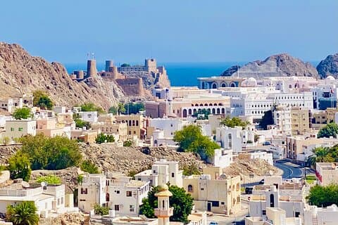 Découvrez Muscat City Tour-Oman Guide (5 - 8h) Cuisine traditionnelle