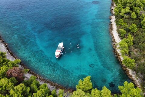 Tour privado en barco dividido para grupos de hasta 42 personas