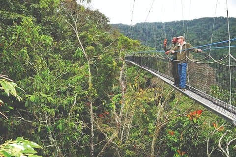 Trekking scimpanzé di 2 giorni e passerella a baldacchino a Nyungwe NP