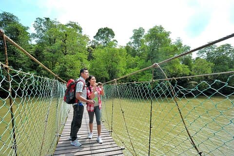 Taman Negara Day Trip from Kuala Lumpur with Lunch