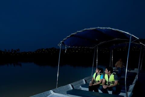 Tour privato di Kuala Selangor Firefly Blinking con cena a base di pesce