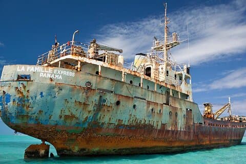 Half-day Snorkeling, Cruising, Iguana Island, Half Moon Bay